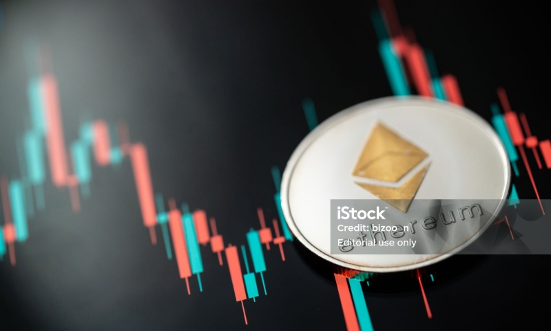 什么是ELON币？ELON币的全面介绍与前景分析
