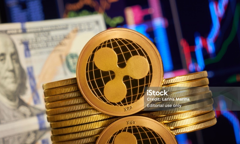 FEI币的发行量是多少？FEI币的供应总量与流通情况
